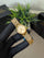 Gold Mini