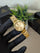 Gold Chain, Gold Dial